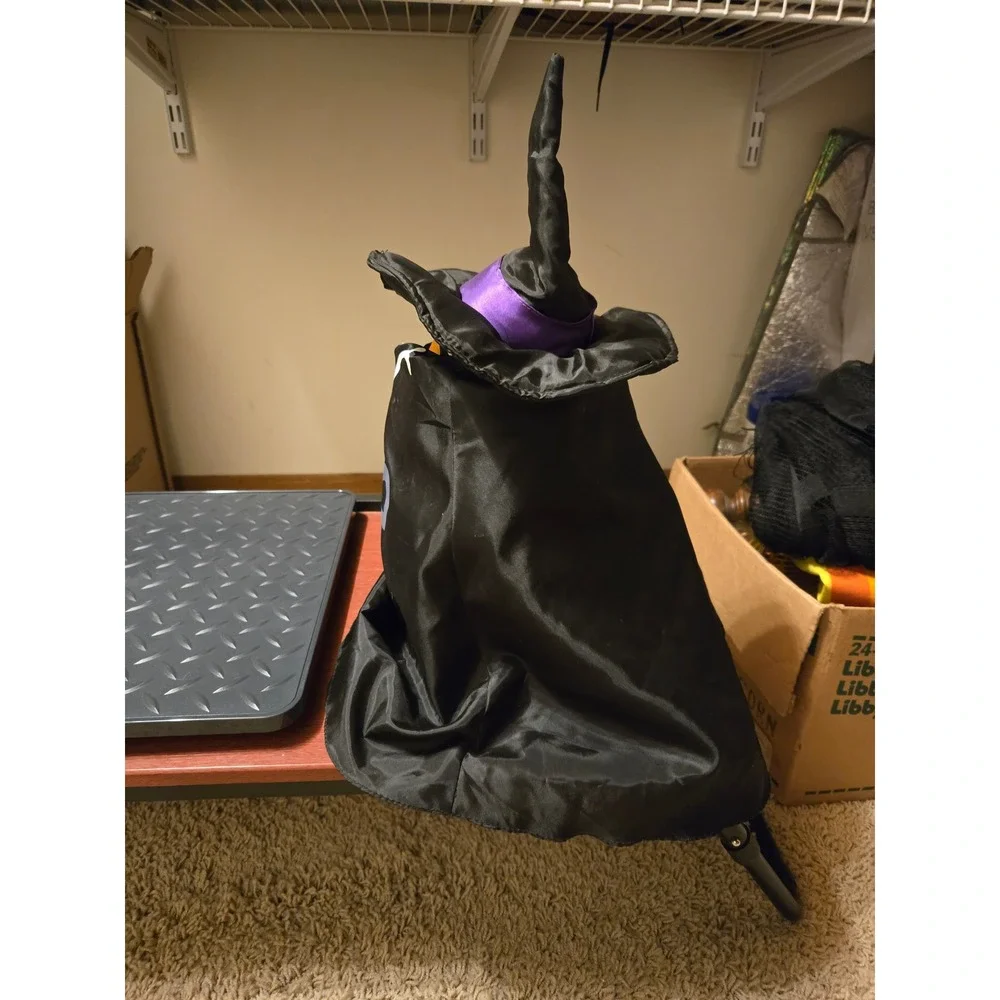 Halloween Animated Ghost Witch Boo Spooky Motion Sound Decor Black Purple